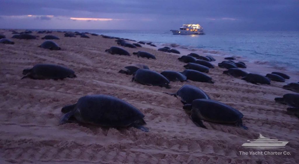 great barrier reef yacht charter Aroona boat hire