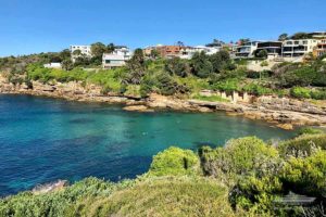 gordons bay sydney snorkelling