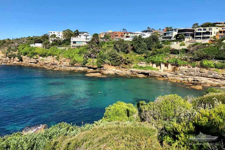 gordons bay sydney snorkelling