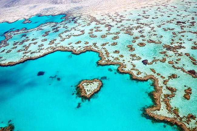 Heart Reef Whitsundays