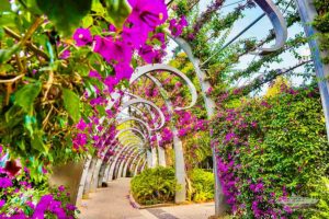 South Bank Arbour Brisbane