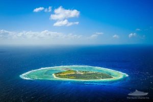 lady elliot island