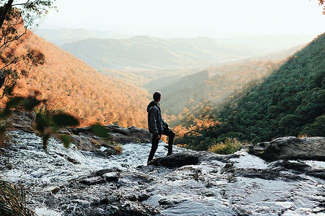 Lamington National Park