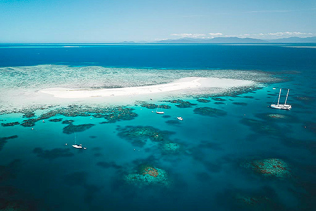 michaelmas cay great barrier reef cairns