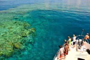 scuba dive great barrier reef