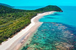 Cape Tribulation Daintree Rainforest