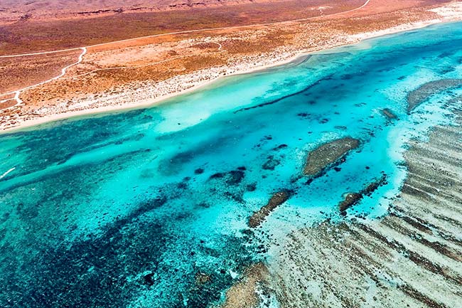 Ningaloo Reef Exmouth Western Australia Dive trip