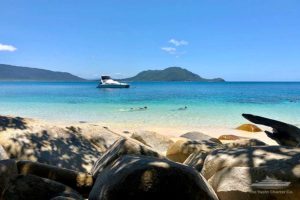 Nudey Beach Fitzroy Island Snorkelling