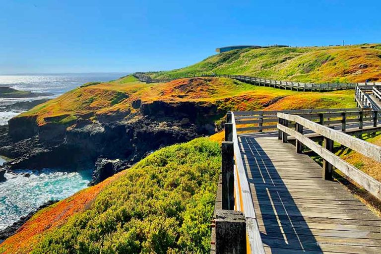 Phillip Island Victoria