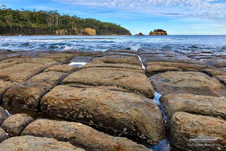 Tessellated Pavement Eaglehawk Neck Tasmania