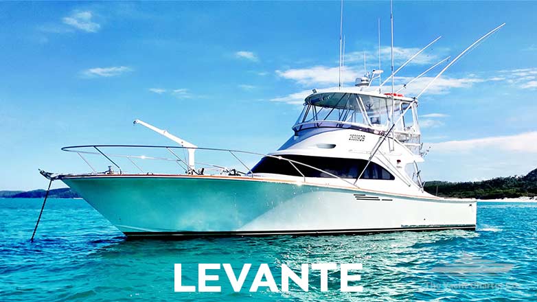 Levante Port Douglas