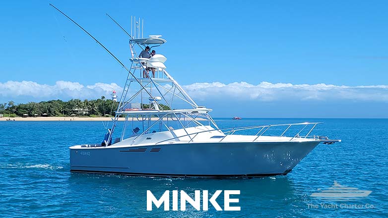 Minke Port Douglas