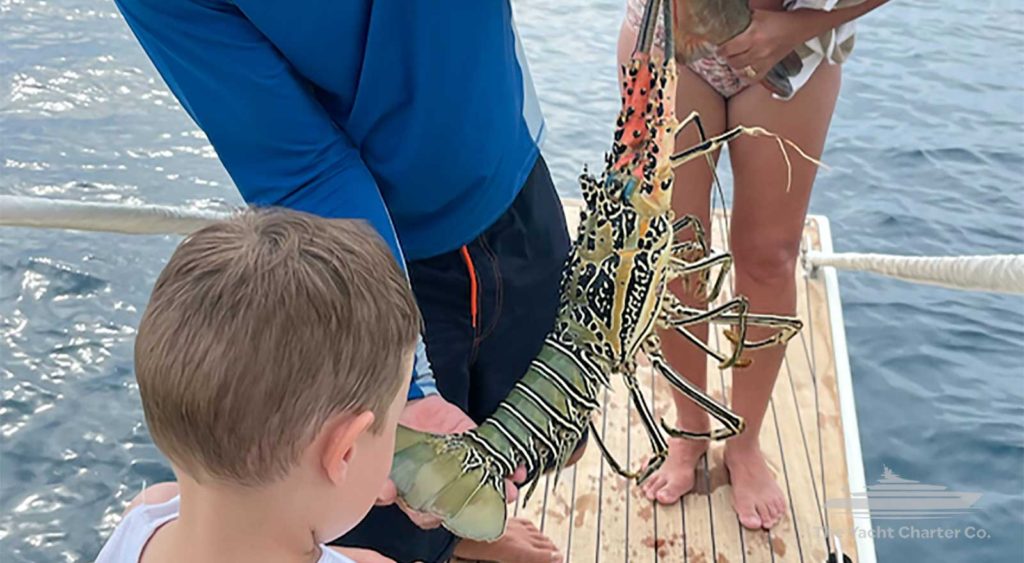 JALUN sailing charter whitsundays