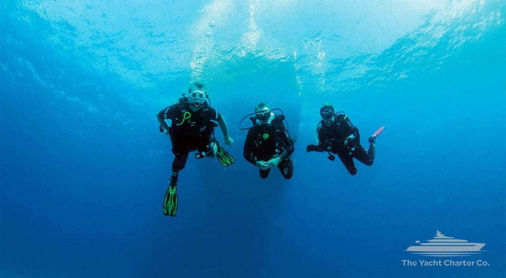 diving charter whitsundays