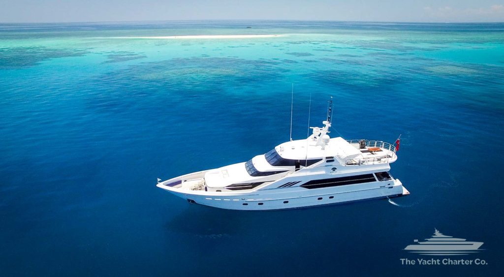 Flying Fish Great Barrier Reef