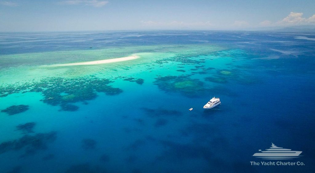 Flying Fish Great Barrier Reef