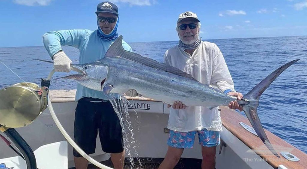 Port Douglas game fishing charter levante