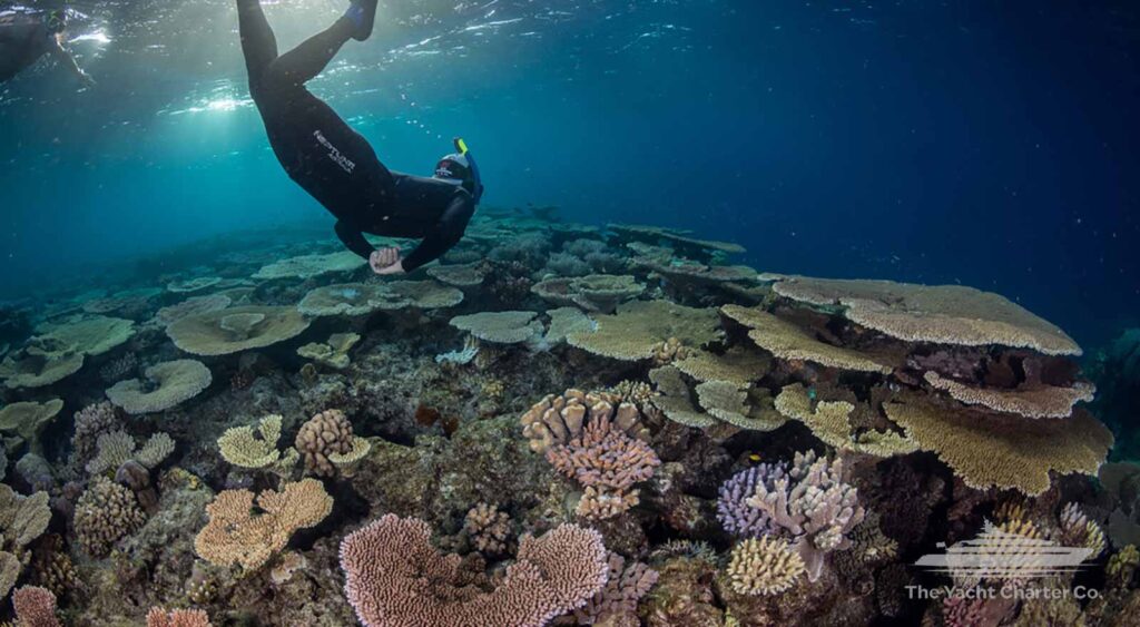 White Haven Great Barrier reef