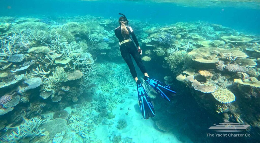 White Haven Great Barrier reef